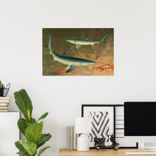 Póster Tiburón Azul Vintage Comiendo Pescado, Vida Marina