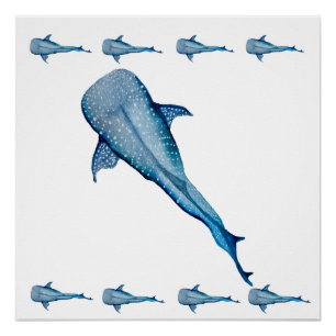 Póster Tiburón ballena acuática