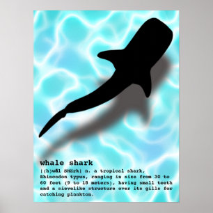 Póster Tiburón ballena de silueta con playa de definición