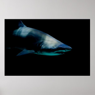 PÓSTER TIBURÓN CONTRA FONDO NEGRO