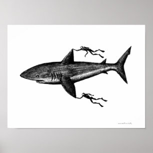 Póster Tiburón Megalodon y buceadores dibujando lápiz de