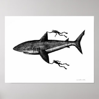 Póster Tiburón Megalodon y buceadores dibujando lápiz de