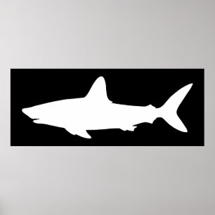 Póster Tiburón nadador en blanco y negro