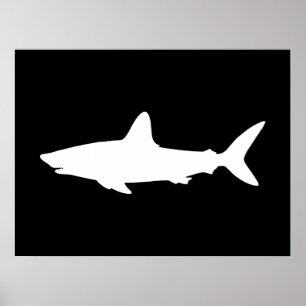 Póster Tiburón nadando