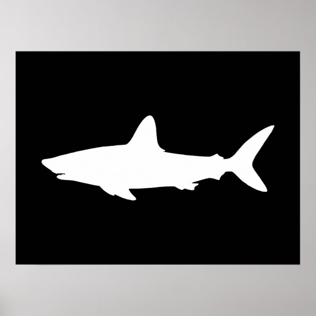 Póster Tiburón nadando (Frente)