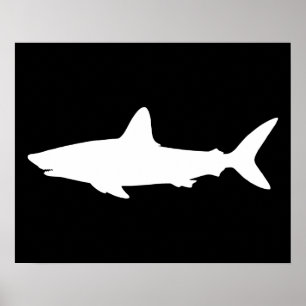 Póster Tiburón nadando