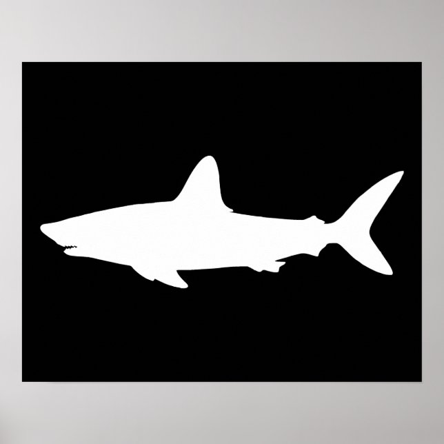 Póster Tiburón nadando (Frente)
