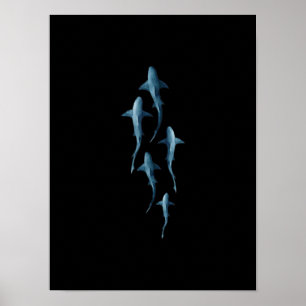 Póster Tiburón - Nadando Tiburones Cute regalo gracioso