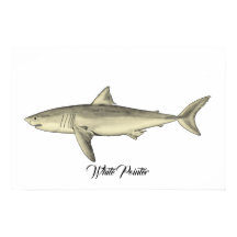 Tiburón puntero blanco
