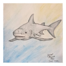Tiburón Toro