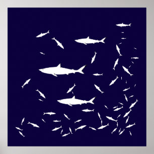 Póster tiburones de mar azul