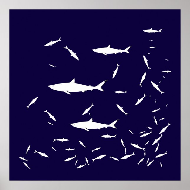 Póster tiburones de mar azul (Frente)