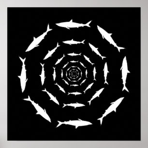 Póster tiburones que nadan en círculos