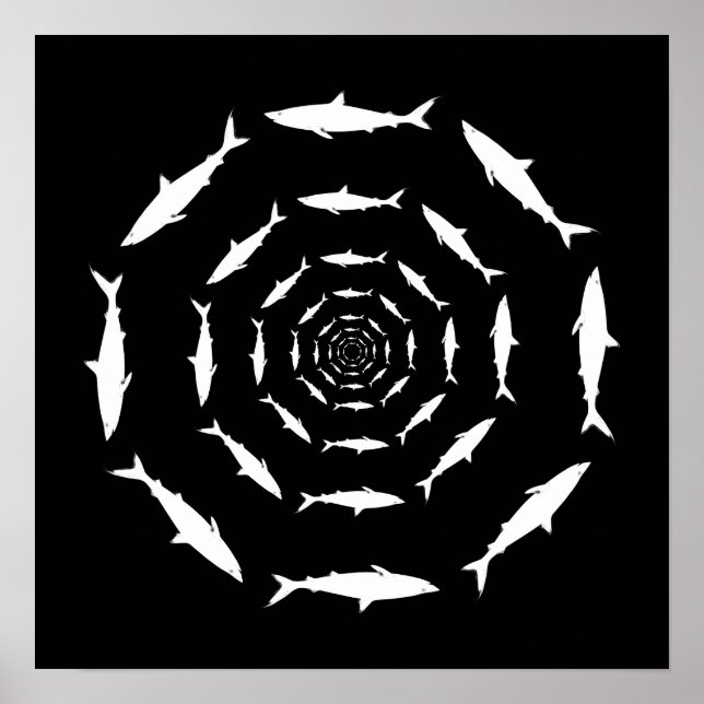 Póster tiburones que nadan en círculos (Frente)