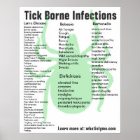 Tick Borne Infecciones Síntomas Educativos Poster