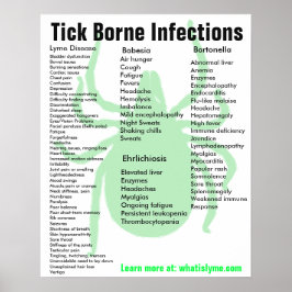 Póster Tick Borne Infecciones Síntomas Educativos Poster