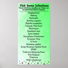 Póster Tick Borne Infection list Lyme Awareness Poster
