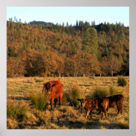 Póster Tiempo de familia........