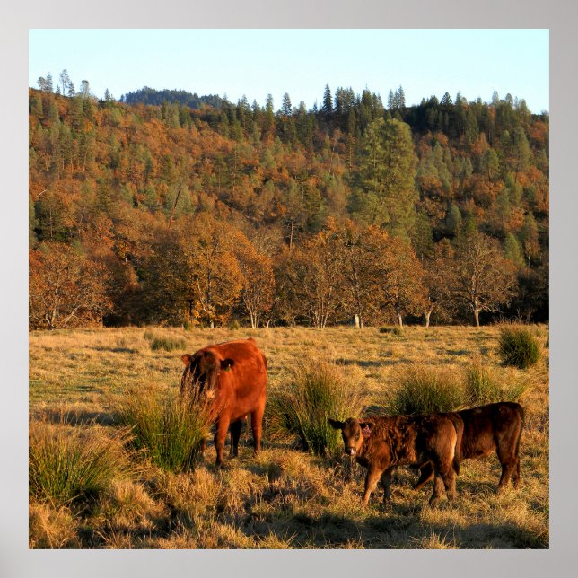 Póster Tiempo de familia........ (Frente)