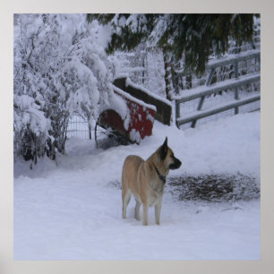 Póster Tiempo de invierno......