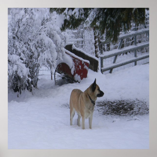 Póster Tiempo de invierno...... (Frente)