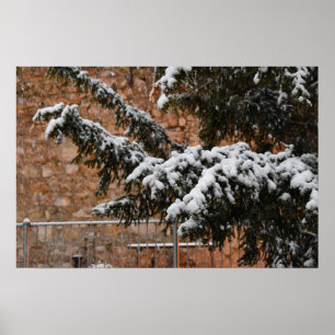 Póster Tiempo de invierno, nieve en los árboles