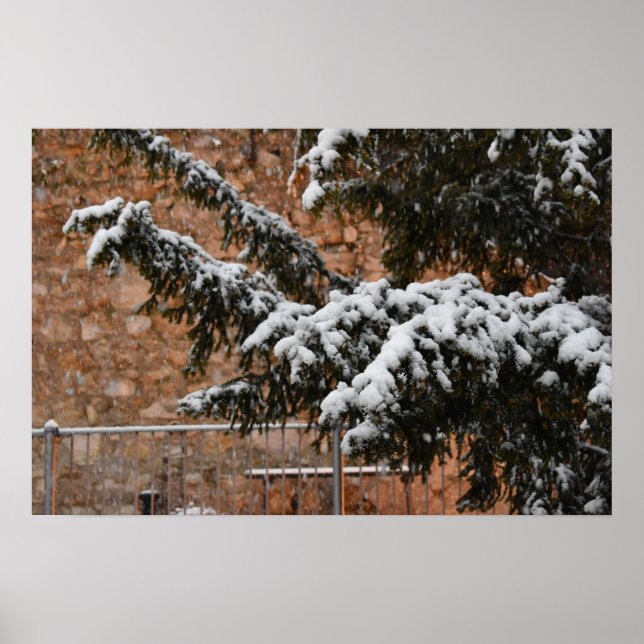 Póster Tiempo de invierno, nieve en los árboles (Frente)