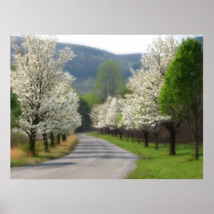 Póster Tiempo de primavera en el país