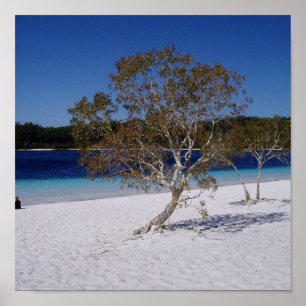 Póster Tiempo de relajación