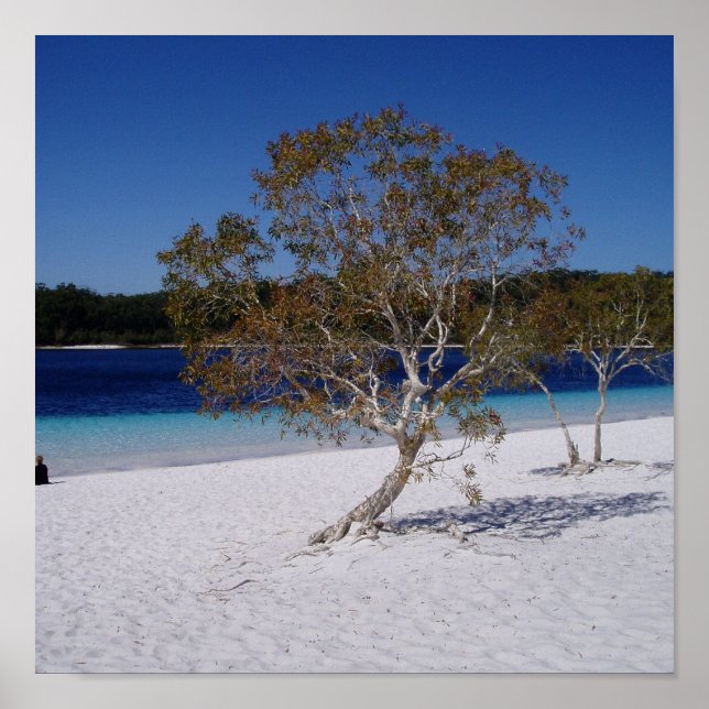 Póster Tiempo de relajación (Frente)