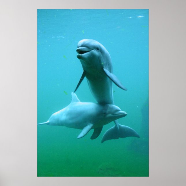 Póster Tiempo de reproducción (Frente)