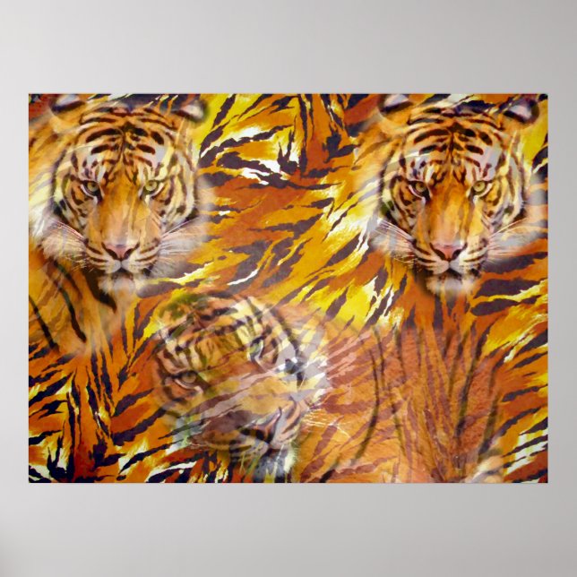 Póster Tiempo de tigre_ (Frente)