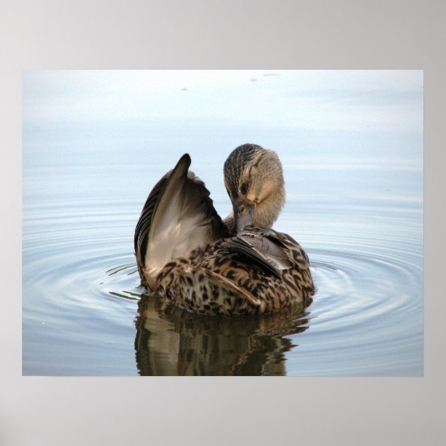 Póster Tiempo de un baño - POSTER (Frente)