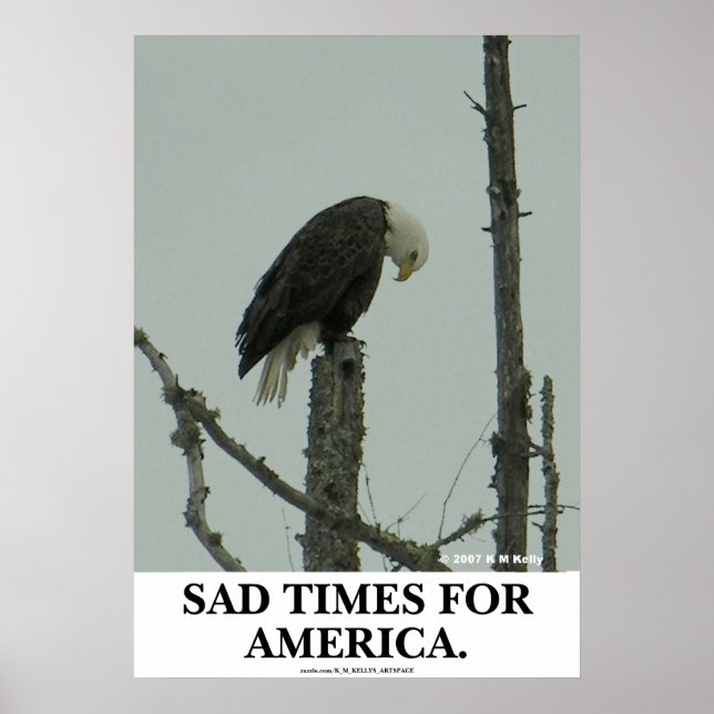 PÓSTER TIEMPOS TRISTES PARA ESTADOS UNIDOS. (Frente)