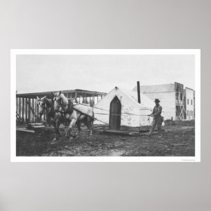 Póster Tienda Anchorage 1916 de los caballos