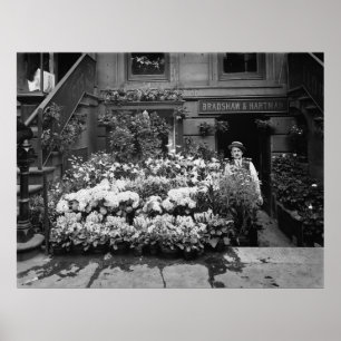 Póster Tienda de flores