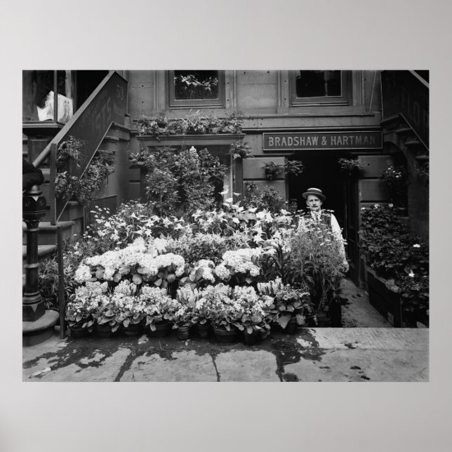 Póster Tienda de flores (Frente)