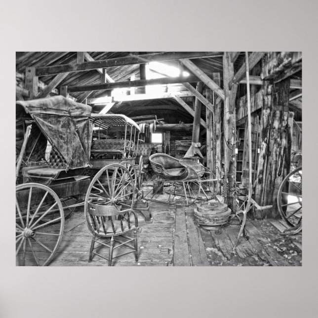 PÓSTER TIENDA DE TRANSPORTE, LESIÓN Y GANADO (Frente)