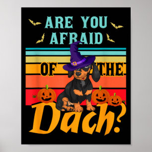 Póster Tienen miedo del dach Perro dachshund divertido