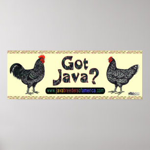 Póster ¿Tienes Java?