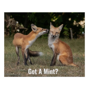 Póster ¿Tienes Una Moneda?