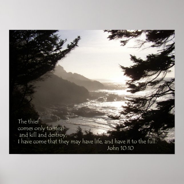 Póster ¿Tienes vida? (Frente)