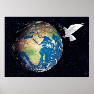 Póster Tierra