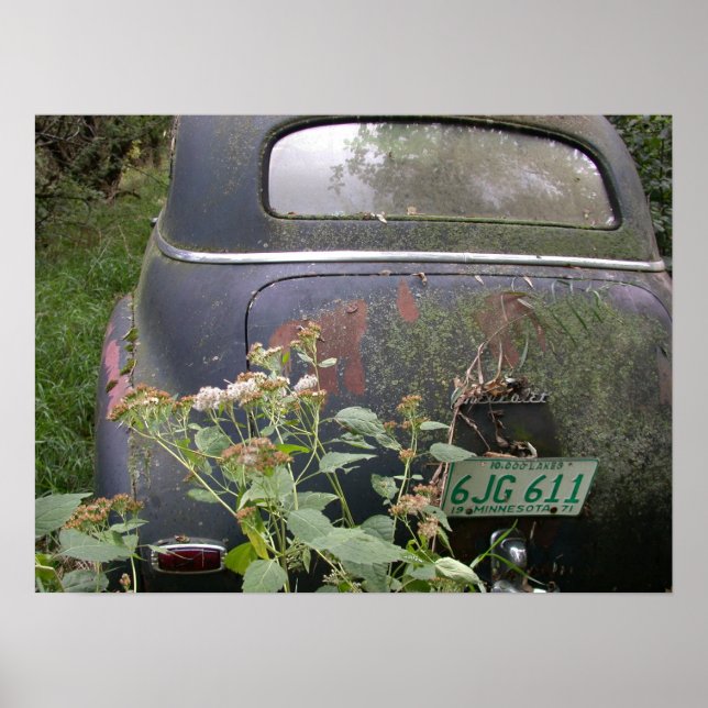 Póster Tierra de 10.000 lagos (Frente)