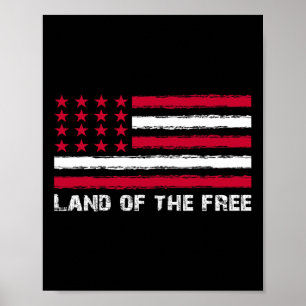 Póster Tierra De Bandera De Estados Unidos De América Lib