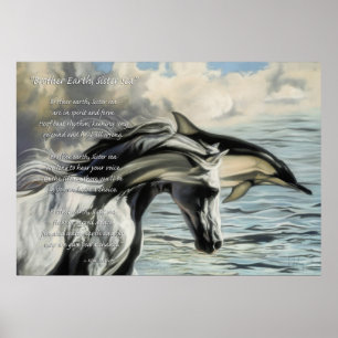 Póster Tierra de Brother, mar de la hermana
