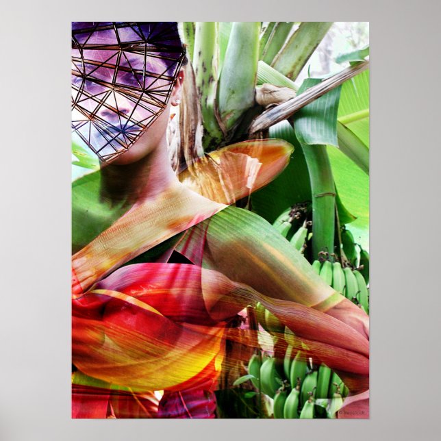 Póster tierra de frutas de vuelo (Frente)