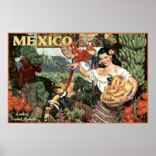 Póster tierra de México del esplendor tropical