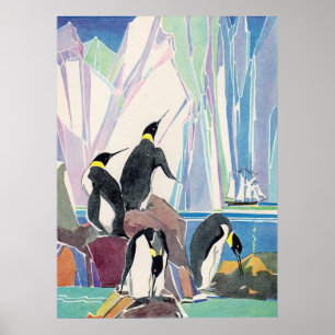 Póster tierra de pingüinos