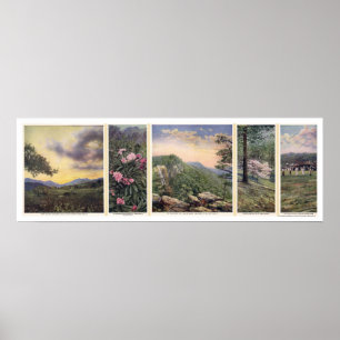 Póster Tierra Del Poster Del Cielo 1917